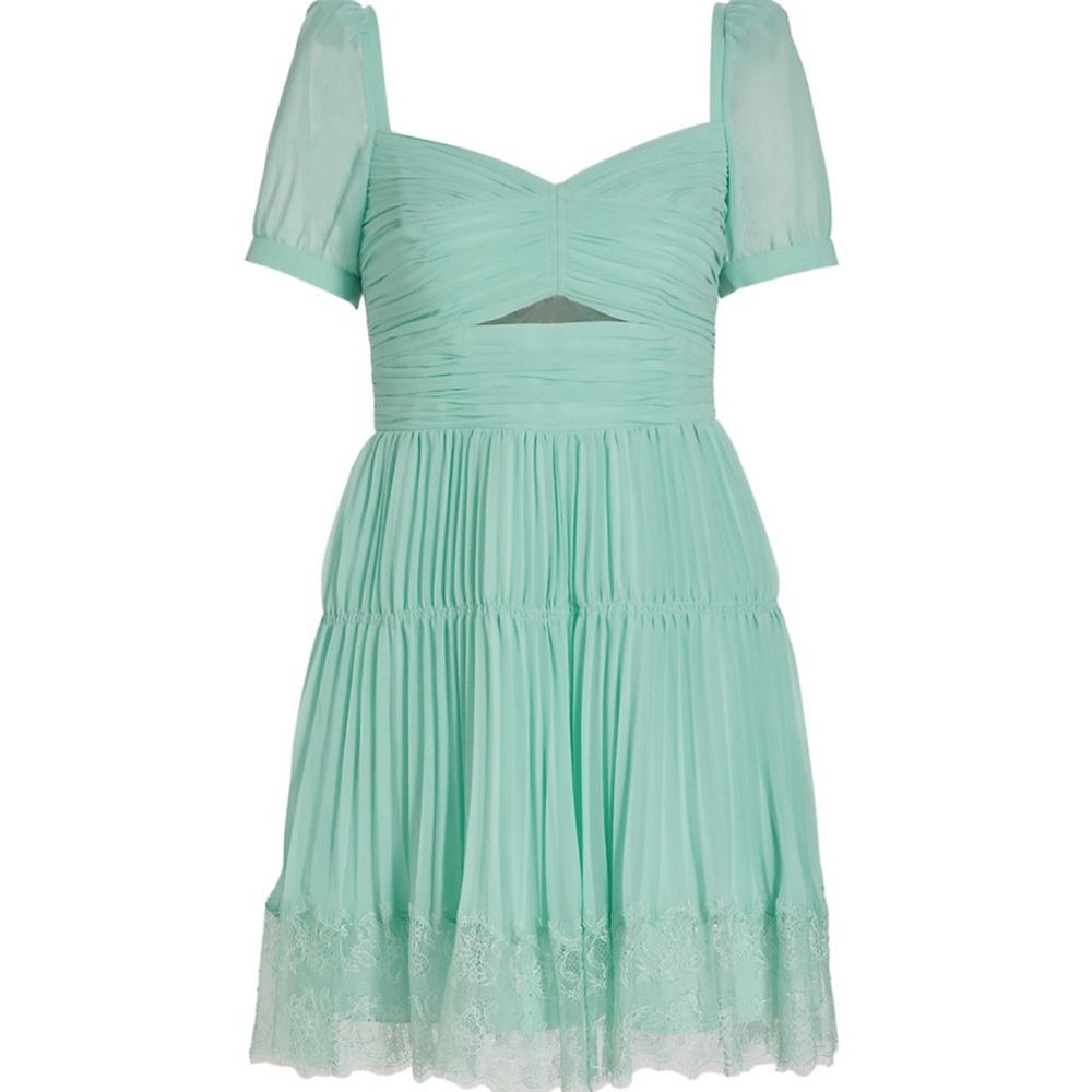 NWT Self-Portrait
Chiffon Cut-Out Minidress